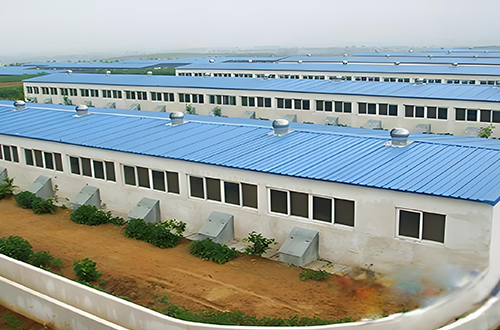 養殖污水處理工程